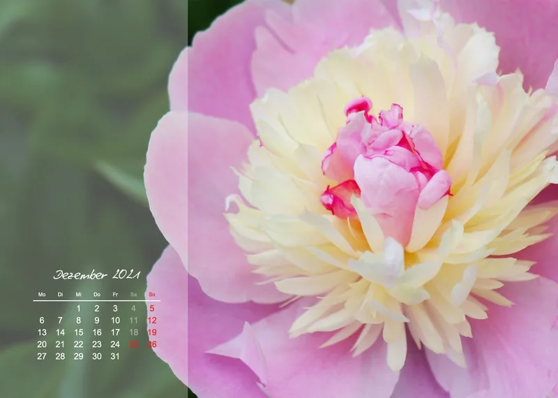 Fotokalender / Nr. 3