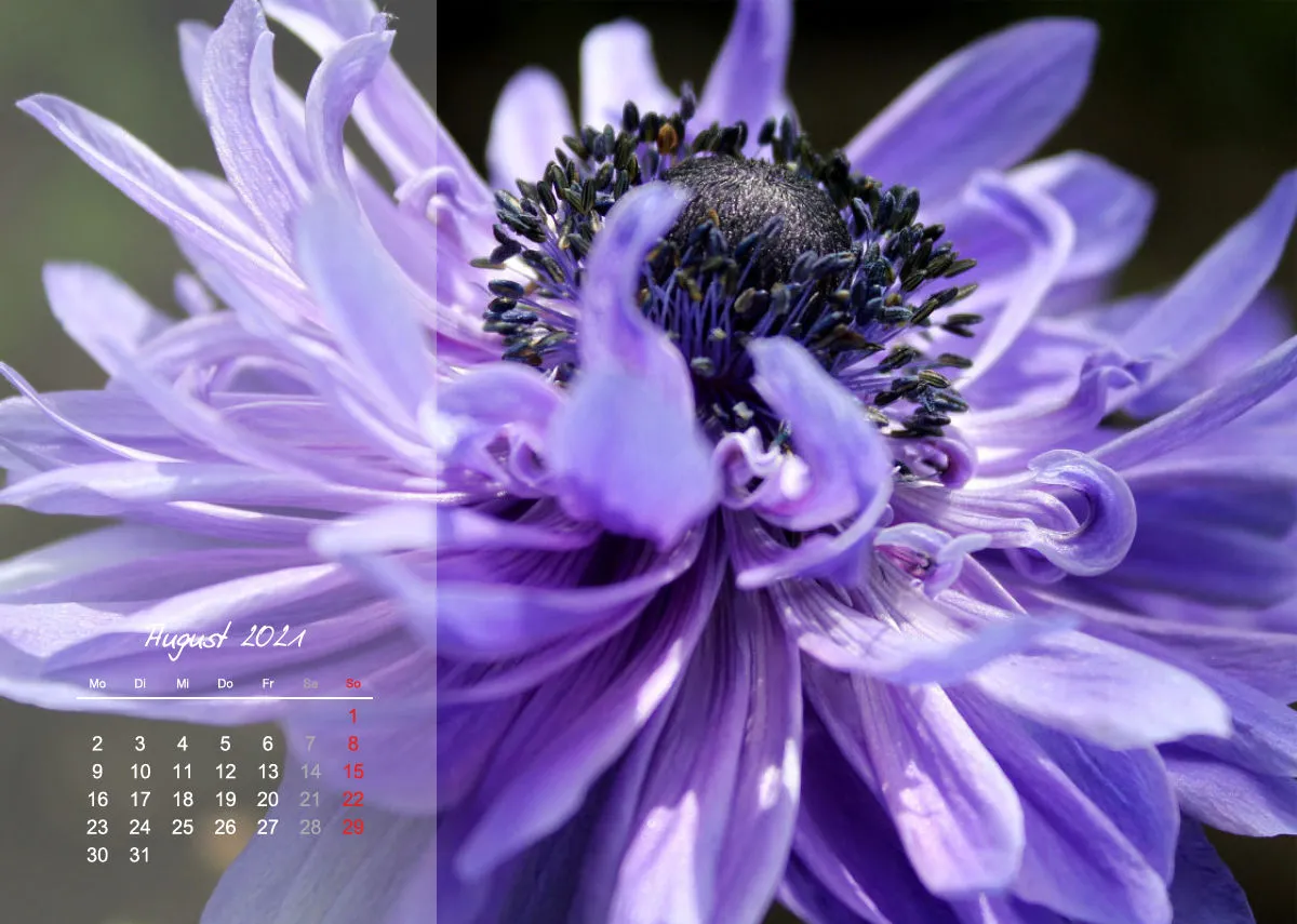 Fotokalender / Nr. 3