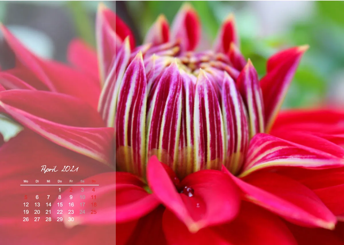 Fotokalender / Nr. 3