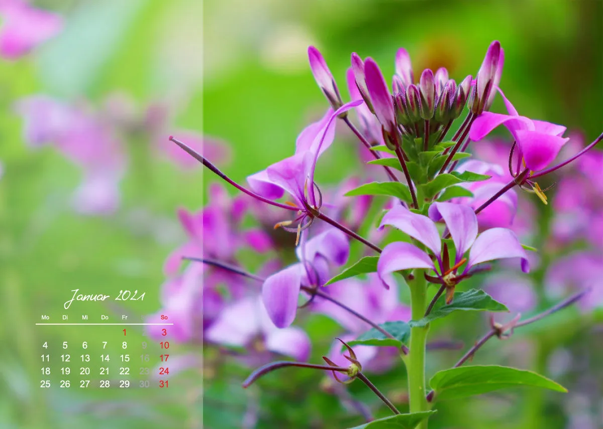 Fotokalender / Nr. 3