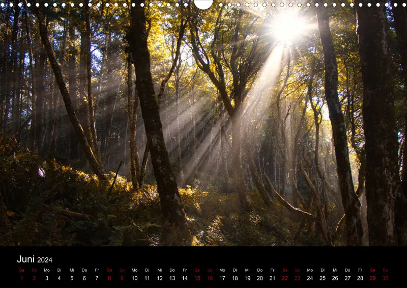 Landschafts Kalender 2024