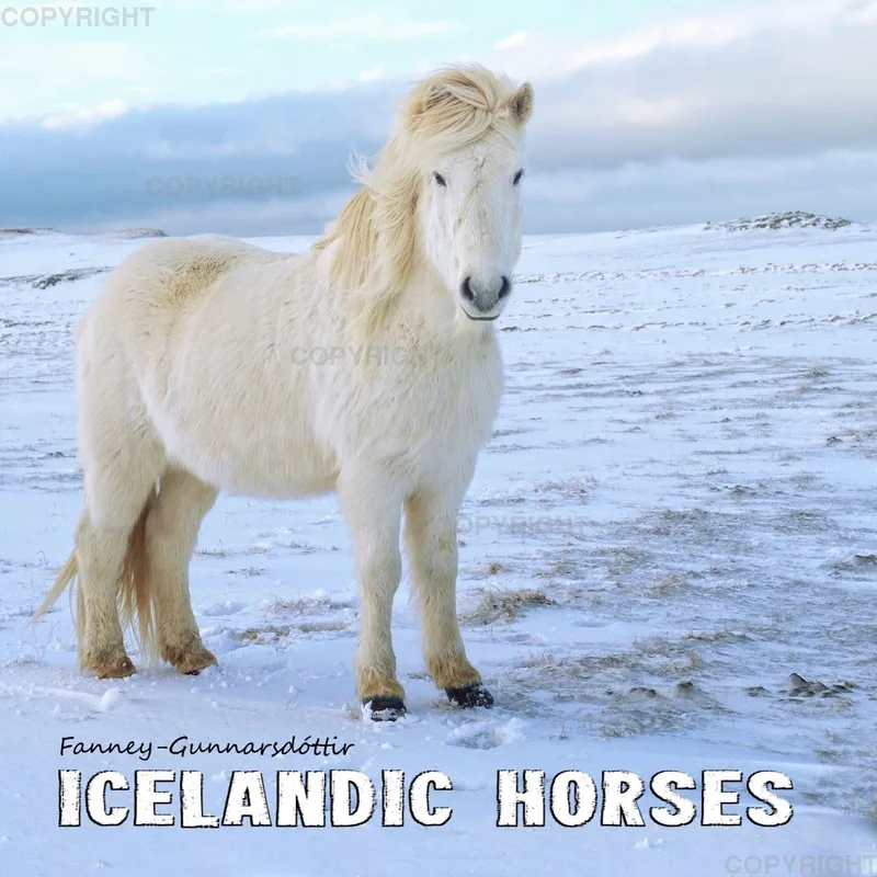 Icelandic Horses 2020