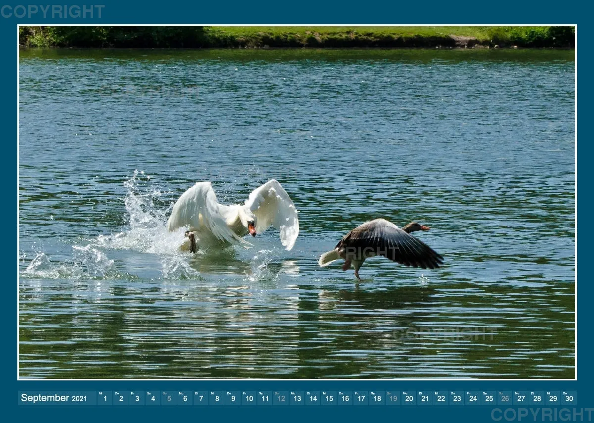 Im und am Wasser