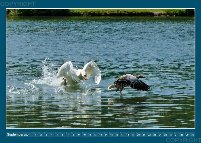 Im und am Wasser