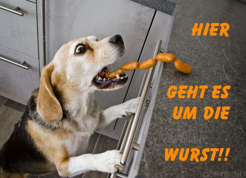 Grußkarte: Hier geht es um die Wurst