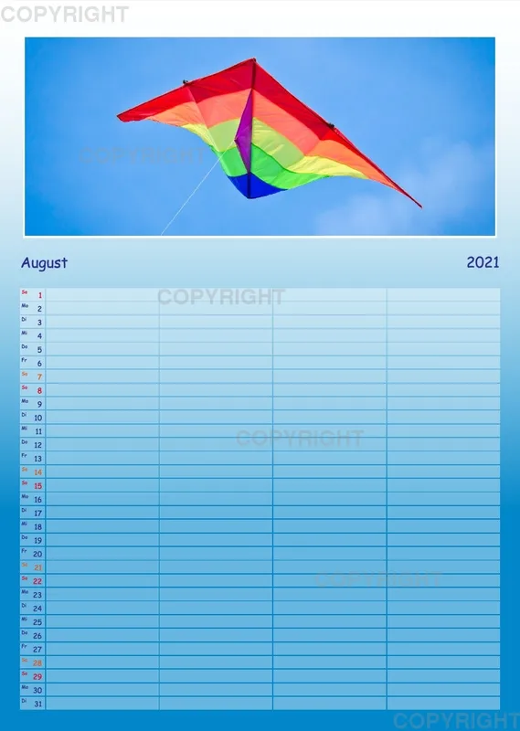 Hoch hinaus - bunte Drachen am Himmel