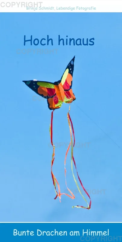 Hoch hinaus - bunte Drachen am Himmel