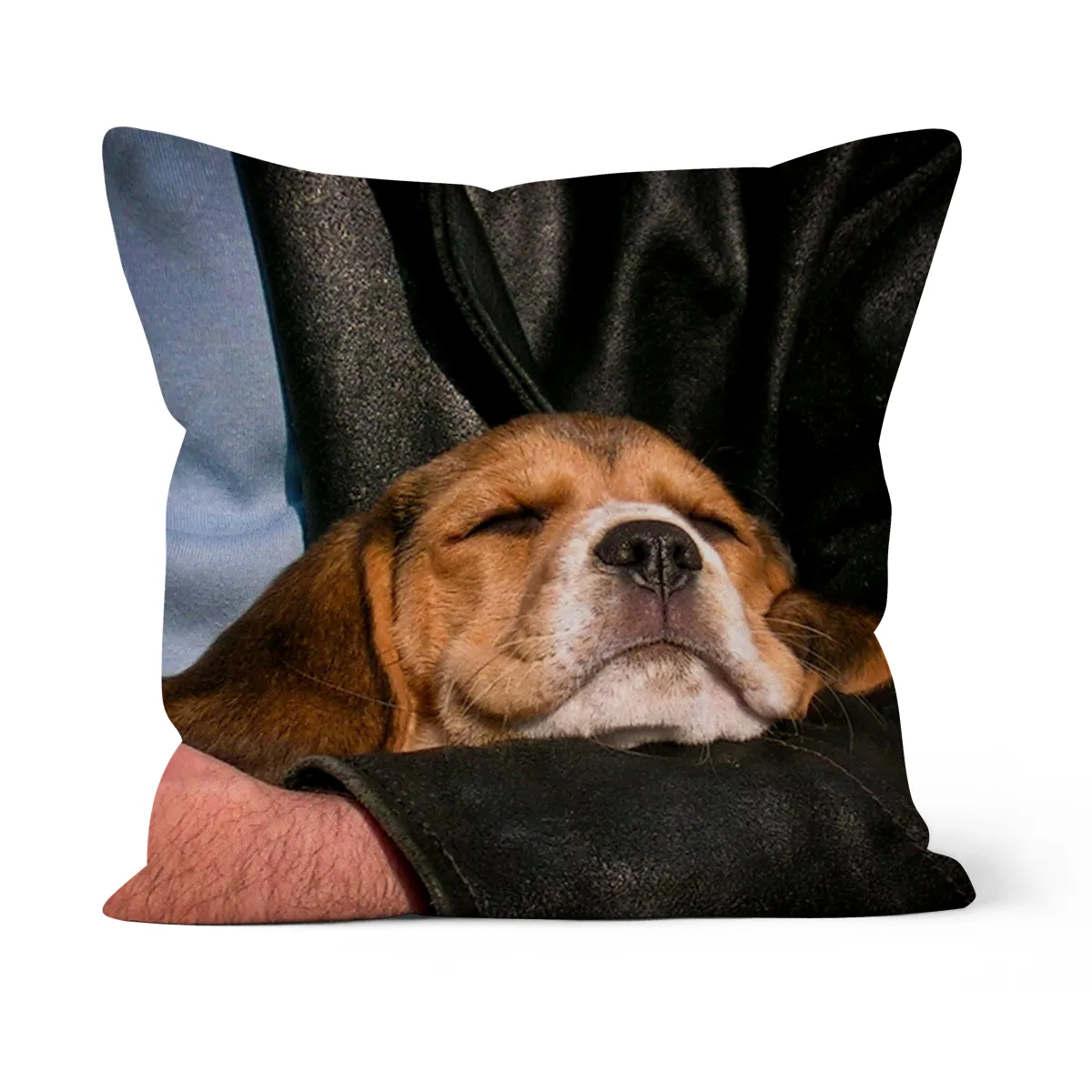 Beaglewelpe im Arm