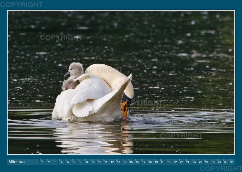 Im und am Wasser