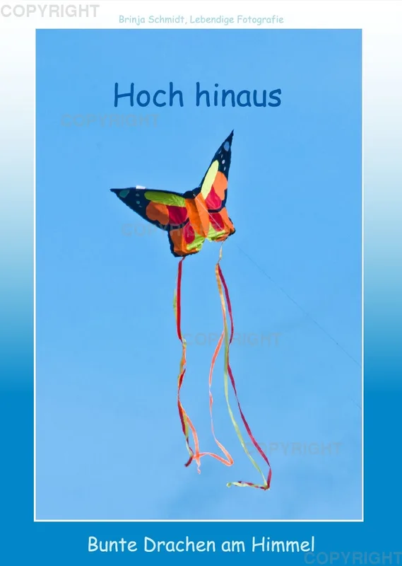 Hoch hinaus - bunte Drachen am Himmel