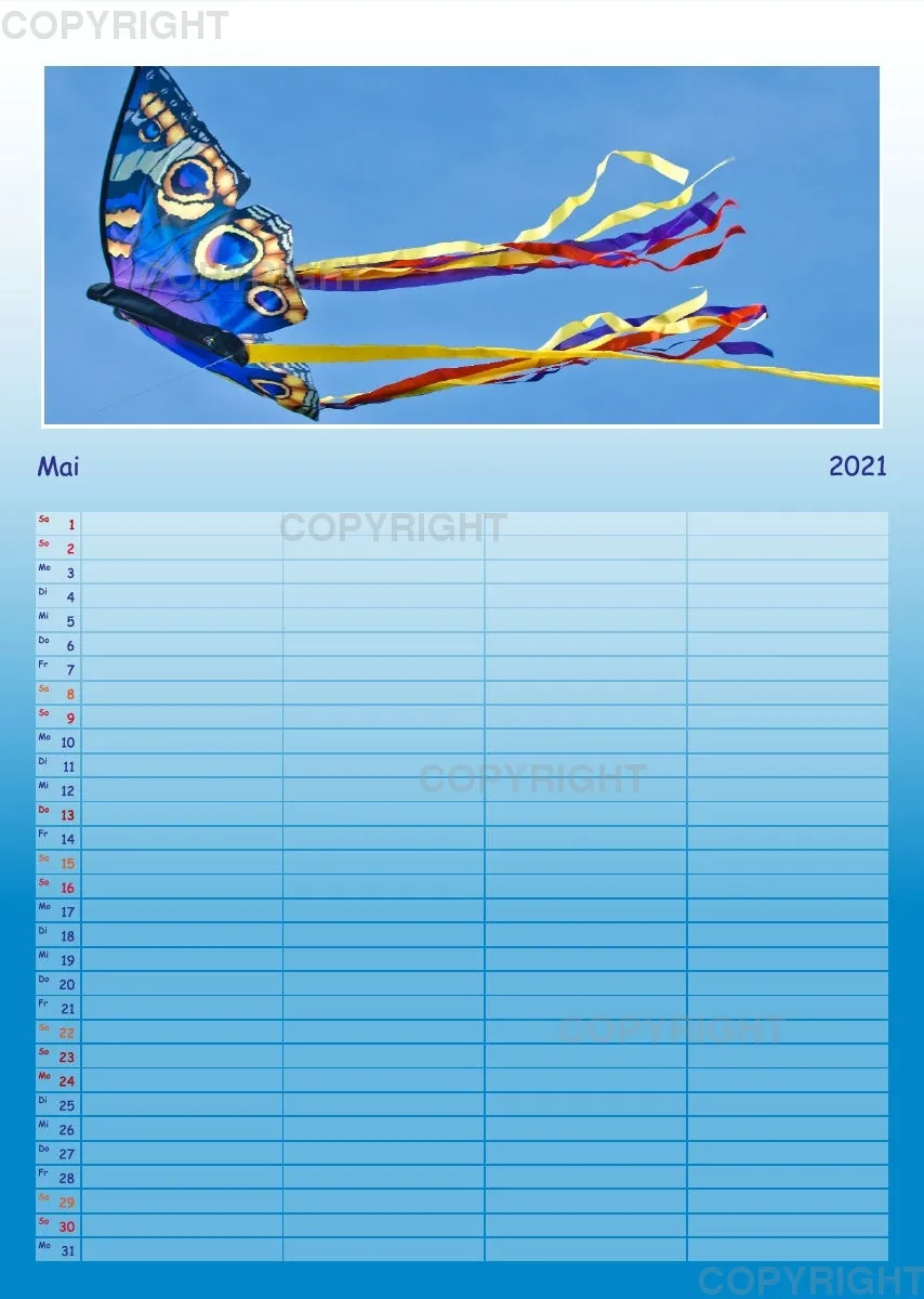 Hoch hinaus - bunte Drachen am Himmel