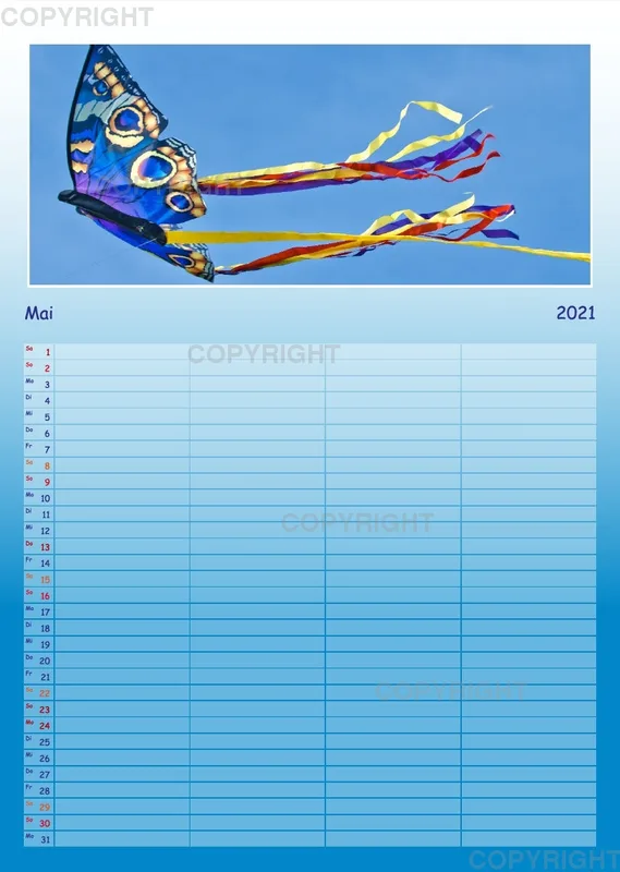 Hoch hinaus - bunte Drachen am Himmel