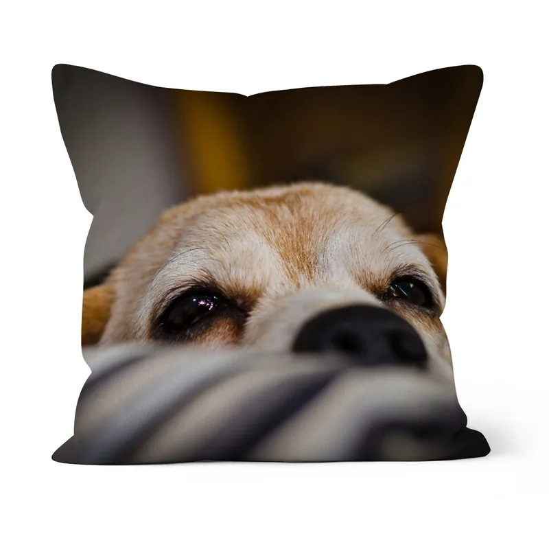 Beagleportrait