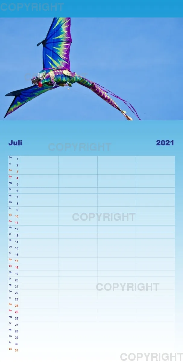 Hoch hinaus - bunte Drachen am Himmel