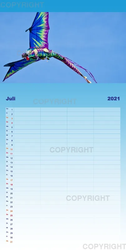 Hoch hinaus - bunte Drachen am Himmel