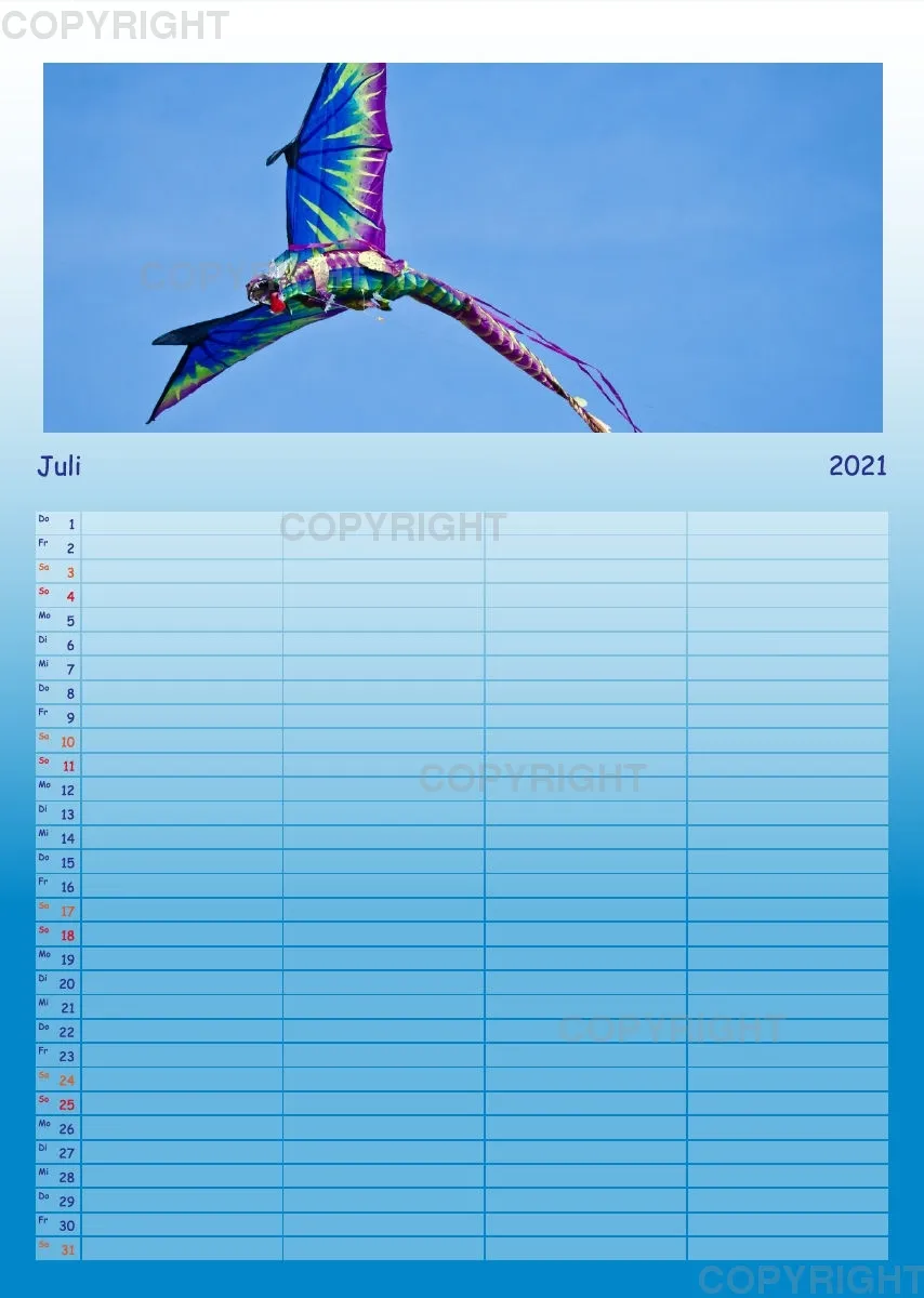 Hoch hinaus - bunte Drachen am Himmel