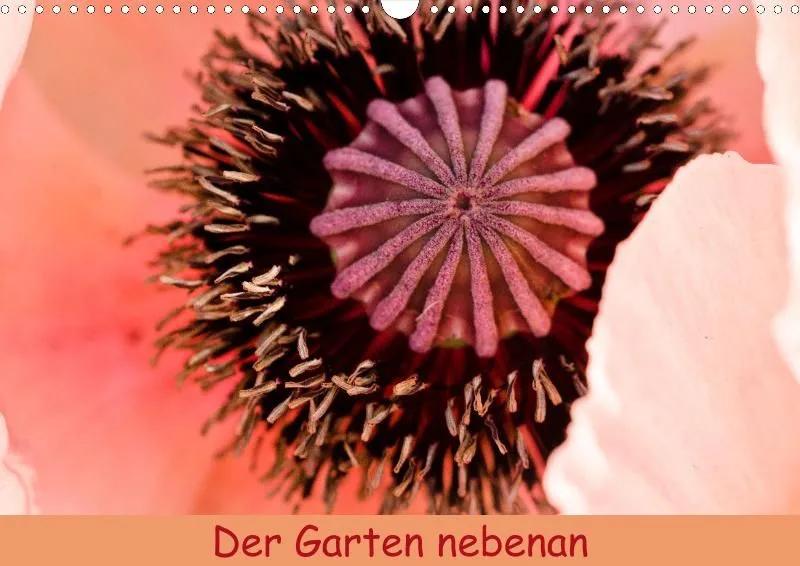 Der Garten nebenan