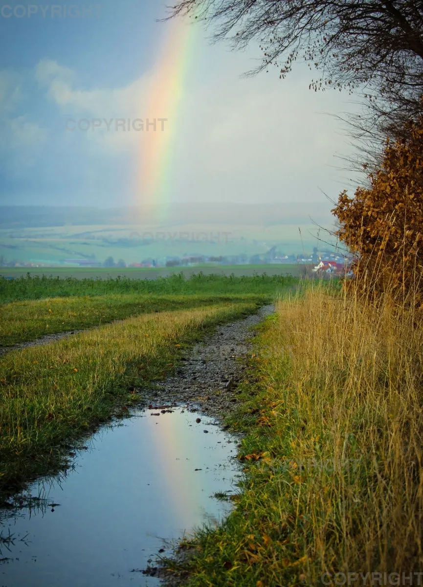 Spiegelung / Regenbogen