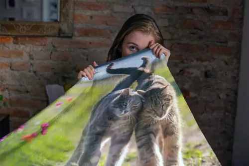 Personalisieren Sie Ihre Fotodecke mit Ihrem Lieblingsfoto.