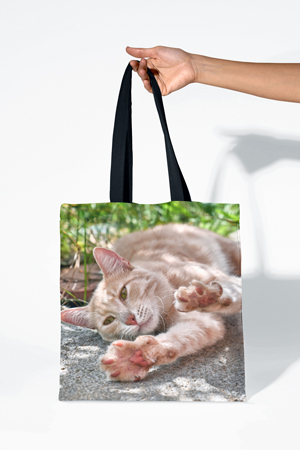 Niedlich bedruckte Tasche mit Haustierfoto