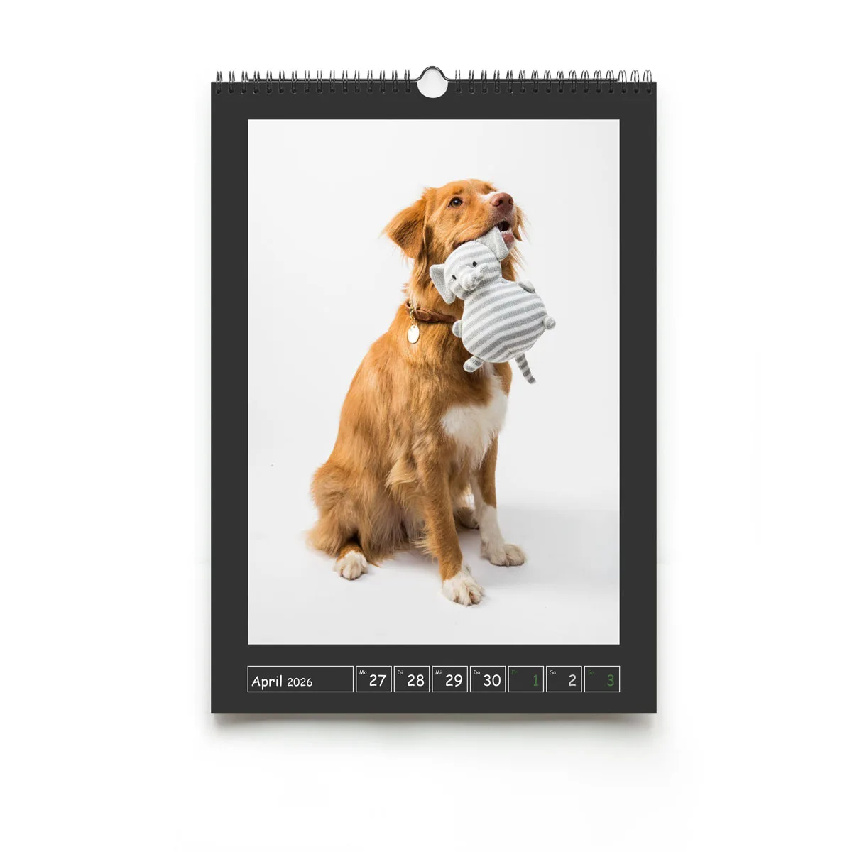 Den Wockenkalender für die Wand gibt es von Din A5 bis Din A3 - für jedes Zimmer das richtige Format. Der Wochenkalender ist in verschiedenen Formaten erhältlich.