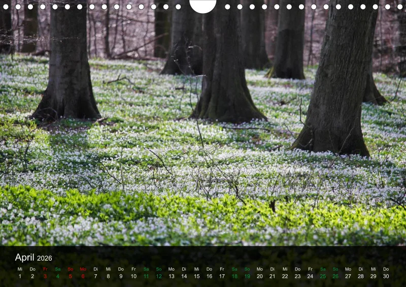buchenblatt.art Kalender 2026 A4