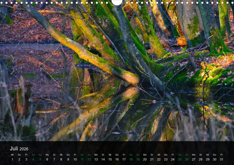 buchenblatt.art Kalender 2026