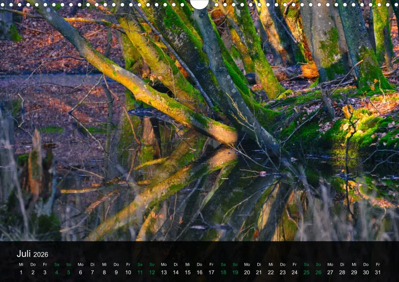 buchenblatt.art Kalender 2026