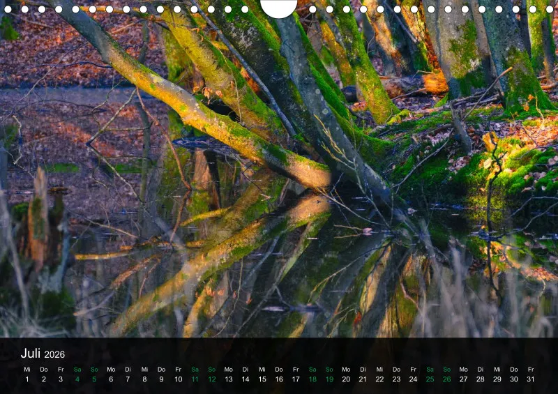 buchenblatt.art Kalender 2026 A4