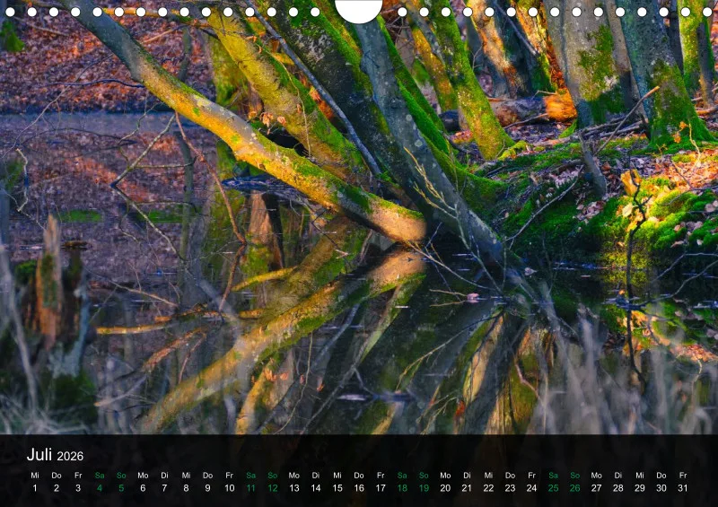 buchenblatt.art Kalender 2026 A4