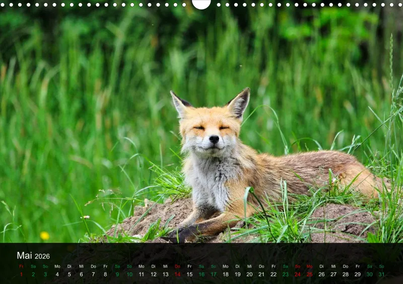 buchenblatt.art Kalender 2026