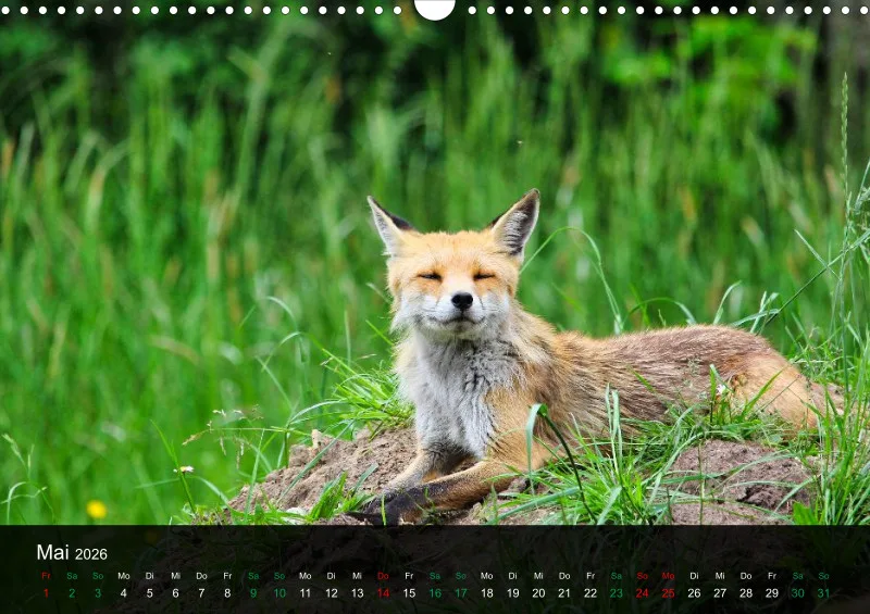 buchenblatt.art Kalender 2026