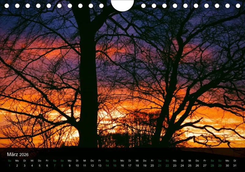buchenblatt.art Kalender 2026 A5