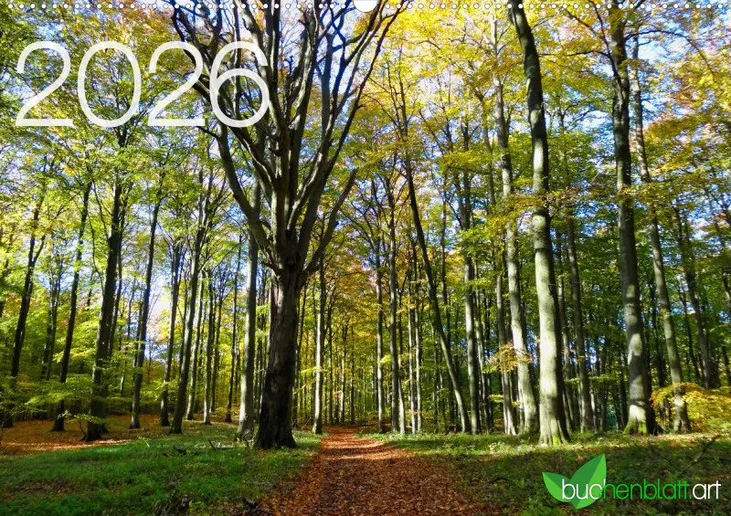 buchenblatt.art Kalender 2026 A2
