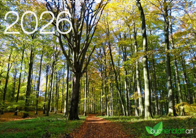 buchenblatt.art Kalender 2026 A2