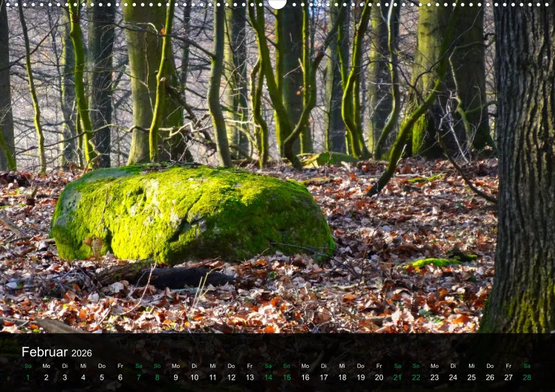 buchenblatt.art Kalender 2026 A2