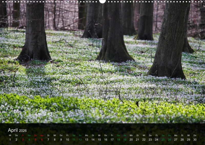 buchenblatt.art Kalender 2026 A2
