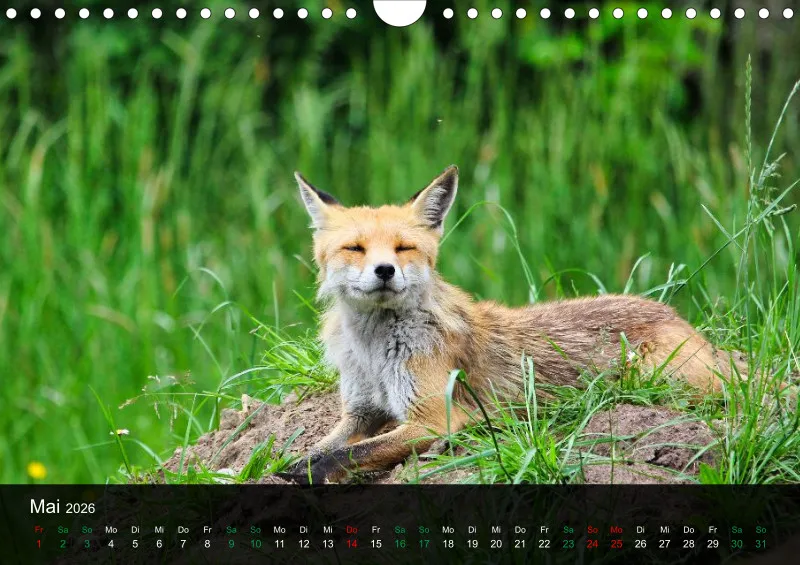 buchenblatt.art Kalender 2026 A4