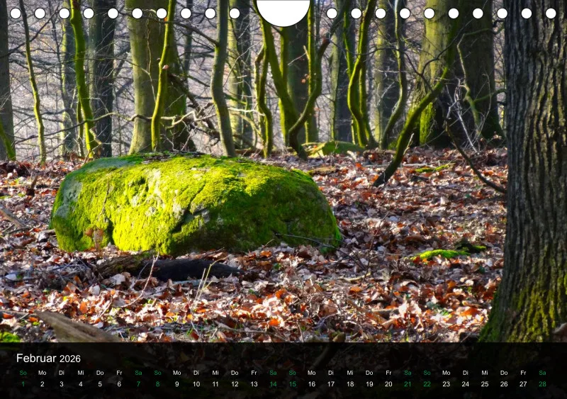 buchenblatt.art Kalender 2026 A5