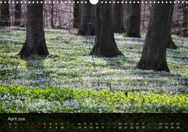 buchenblatt.art Kalender 2026