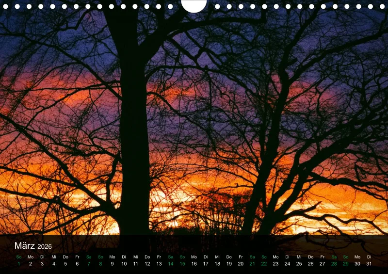buchenblatt.art Kalender 2026 A4