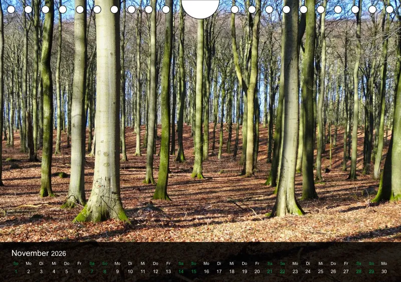 buchenblatt.art Kalender 2026 A5