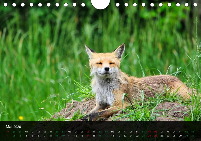 buchenblatt.art Kalender 2026 A5