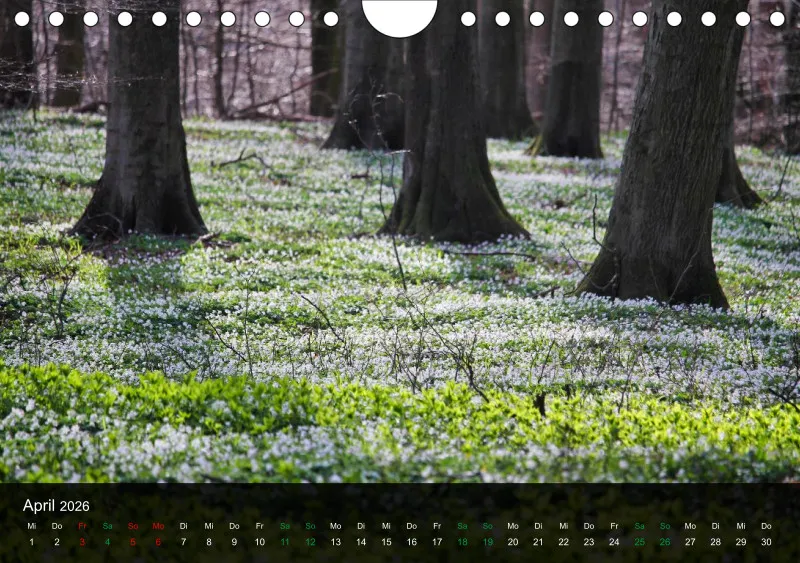 buchenblatt.art Kalender 2026 A5