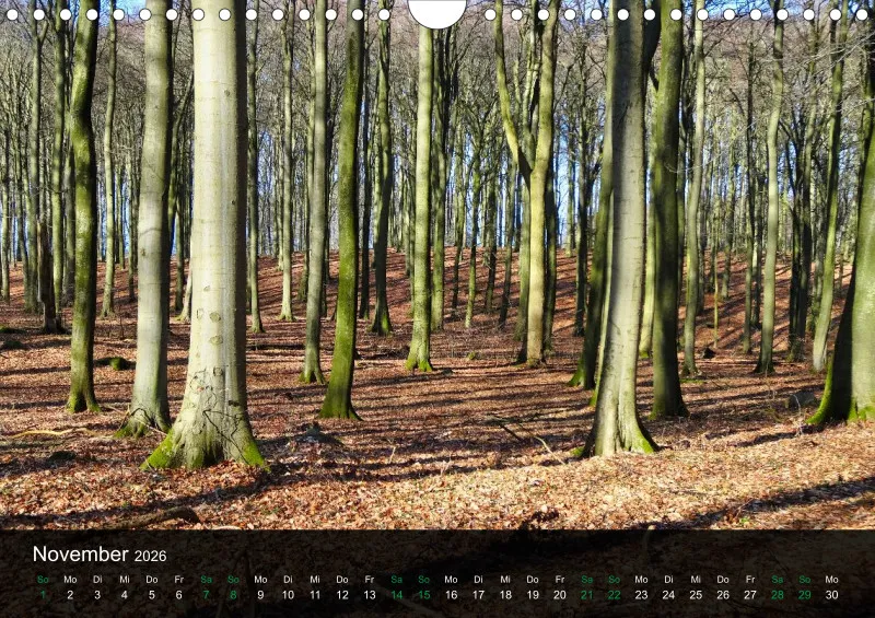 buchenblatt.art Kalender 2026 A4