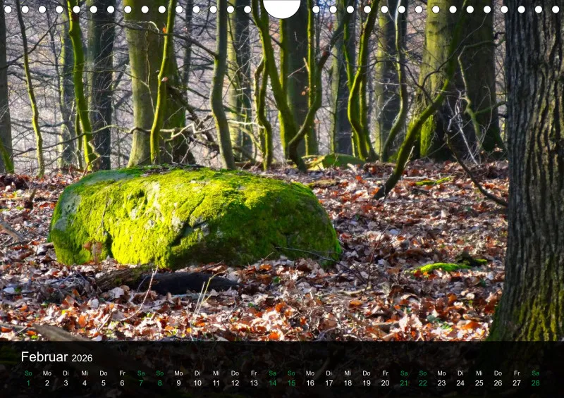 buchenblatt.art Kalender 2026 A4