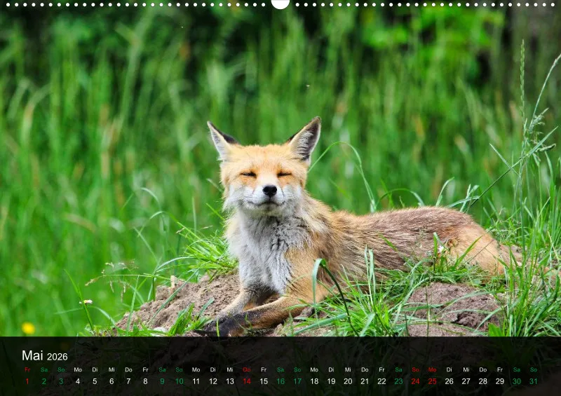 buchenblatt.art Kalender 2026 A2