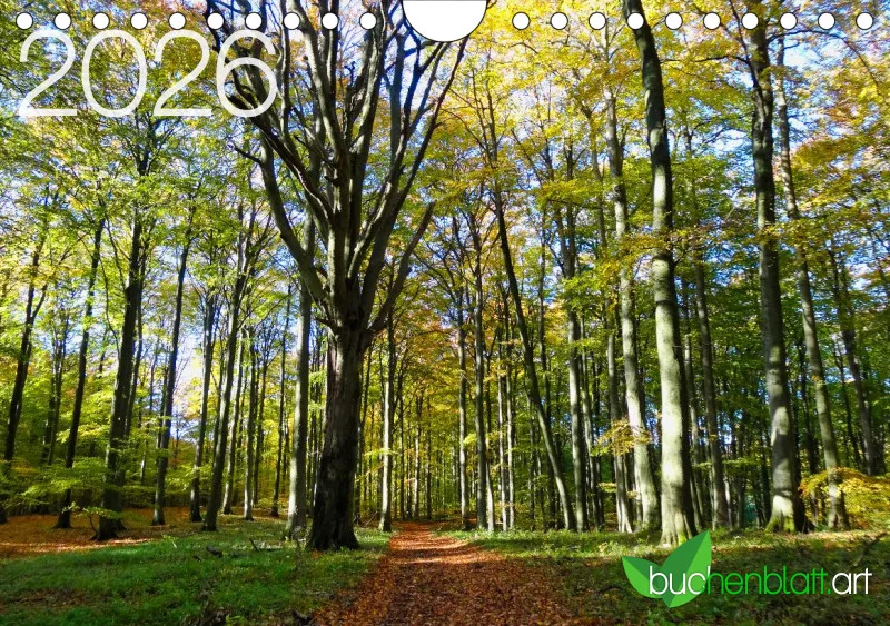 buchenblatt.art Kalender 2026 A5