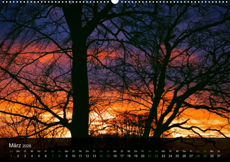 buchenblatt.art Kalender 2026 A2
