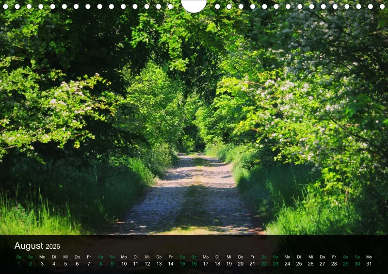 buchenblatt.art Kalender 2026 A4